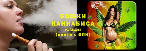 PSILOCYBIN Осинники