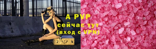 PSILOCYBIN Осинники