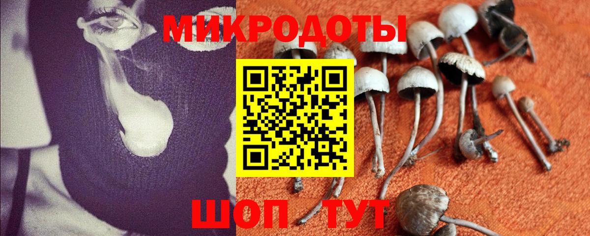 Псилоцибиновые грибы мицелий Алапаевск