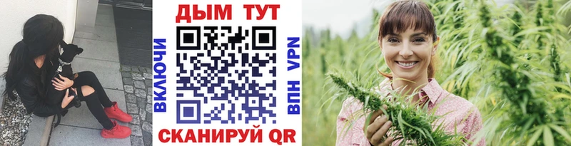 Каннабис семена  сколько стоит  Алапаевск 